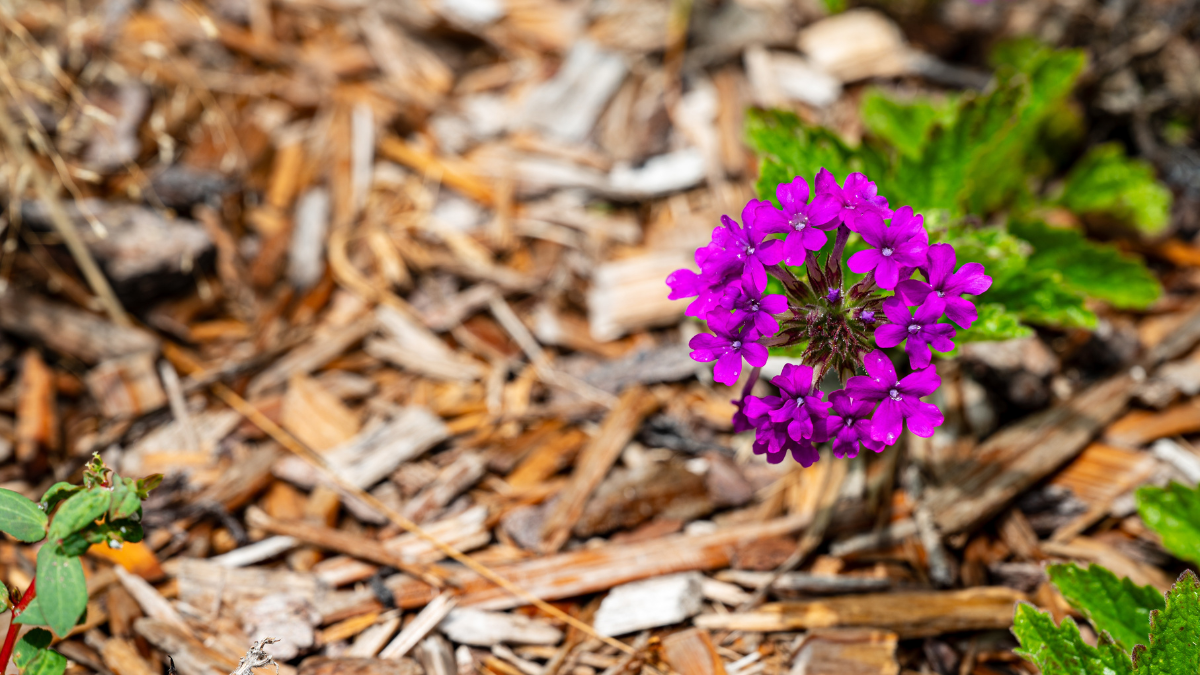 إحياء الإنسان قبل إعمار المكان